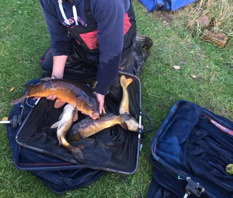 诺丁汉Peacock Lake Glamping别墅 外观 照片